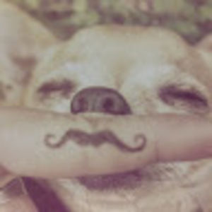 Meet your Posher, Miss